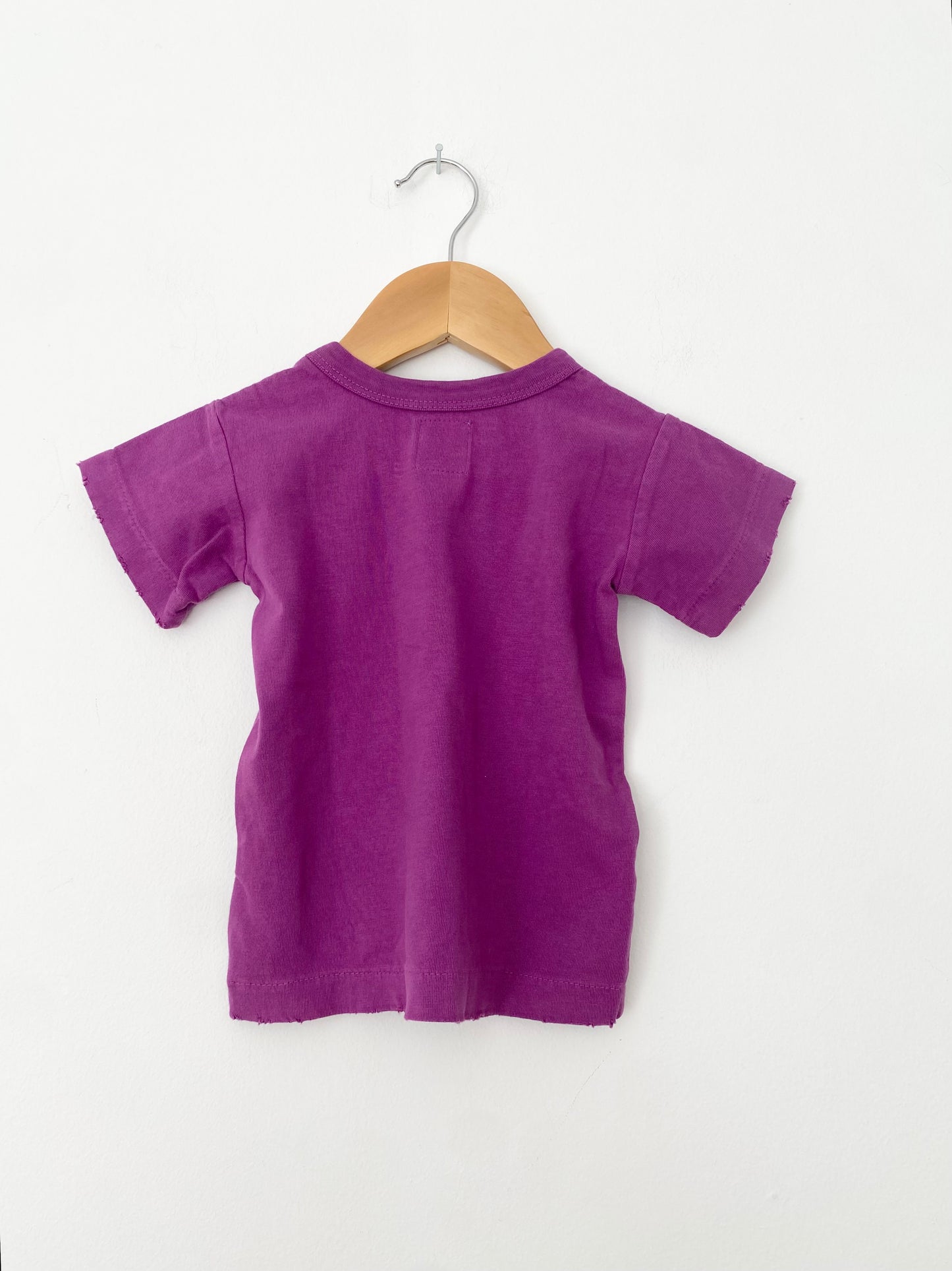 Hey gang distressed purple tee 18 months