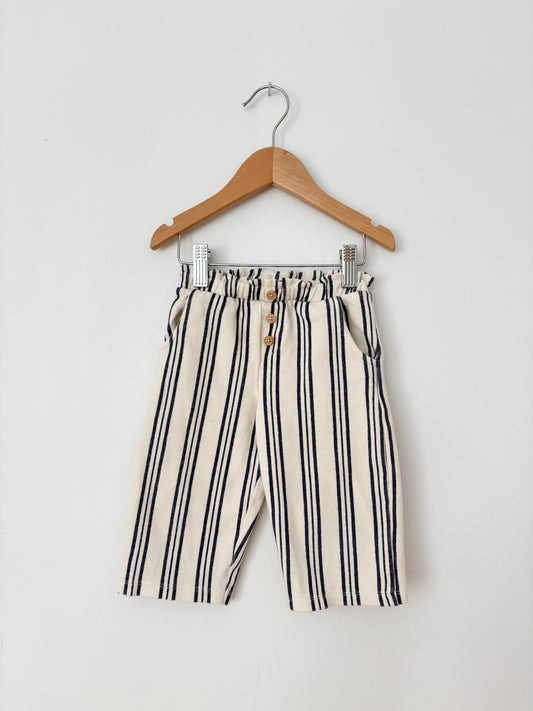 Zara stripe pants