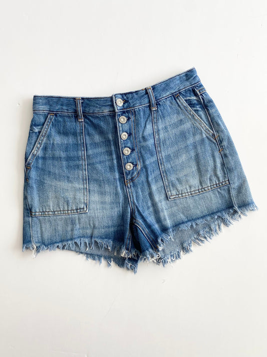Free people jesse carpenter shorts W27