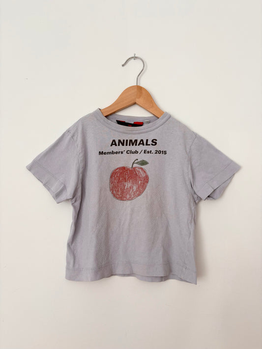 The animals observatory T-shirt